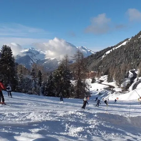Cosy Sur Les Pistes Avec Balcon Et Wifi - Fr-1-455-1 * La Plagne